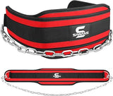 Dip Belt with 36 Inches Heavy Duty Bodybuilding Weight Lifting Dip Steel Chain for Pull Ups Exercise Gym Workout Powerlifting